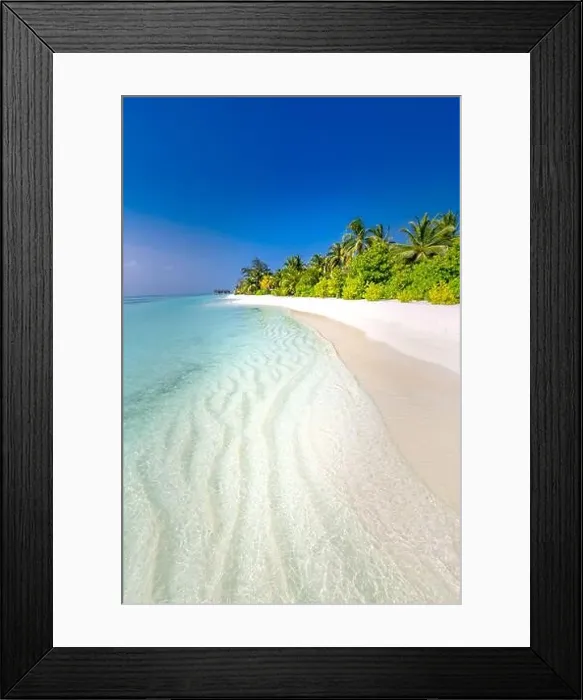 Framed Print : Beautiful beach with palm trees and moody sky. Summer nature vacation travel holiday background. Maldives paradise beach. Luxury travel landscape Framed Print : Beautiful beach with palm trees and moody sky. Summer nature vacation travel holiday background. Maldives paradise beach. Luxury travel landscape