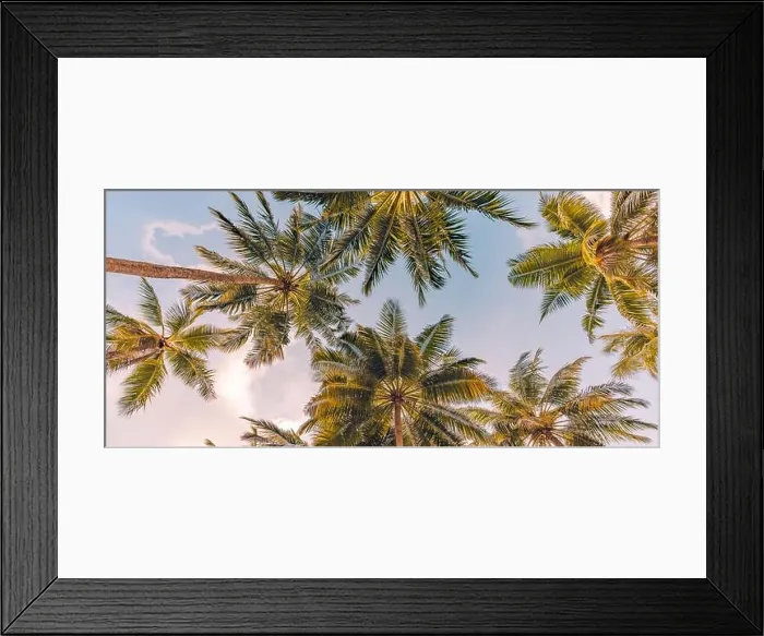 Framed Print : Copy space of tropical palm trees with sunset light on sky background. Tropical island beach, low point of view, inspirational motivational, happy Framed Print : Copy space of tropical palm trees with sunset light on sky background. Tropical island beach, low point of view, inspirational motivational, happy