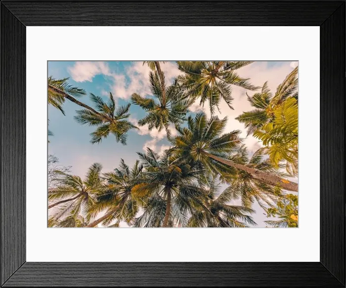 Framed Print : Relaxing sunset on the beach. Palm trees with sky as exotic tropical nature pattern. Natural texture of palm trees leaves on tranquil sunset sky Framed Print : Relaxing sunset on the beach. Palm trees with sky as exotic tropical nature pattern. Natural texture of palm trees leaves on tranquil sunset sky