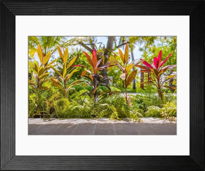 Framed Print : Lush tropical garden with assorted colorful flowers and plants. Abstract colors of fantasy tropical garden with amazing plants and flowers blurry Framed Print : Lush tropical garden with assorted colorful flowers and plants. Abstract colors of fantasy tropical garden with amazing plants and flowers blurry