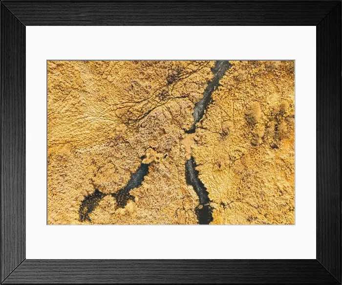 Framed Print : Aerial View Of Dry Grass And Frozen Marsh Swamp Landscape In Late Autumn Day. High Attitude View. Marsh Bog. Drone View. Bird's Eye View Framed Print : Aerial View Of Dry Grass And Frozen Marsh Swamp Landscape In Late Autumn Day. High Attitude View. Marsh Bog. Drone View. Bird's Eye View