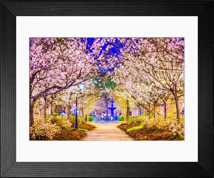 Framed Print : Macon, Georgia, USA in the spring Framed Print : Macon, Georgia, USA in the spring