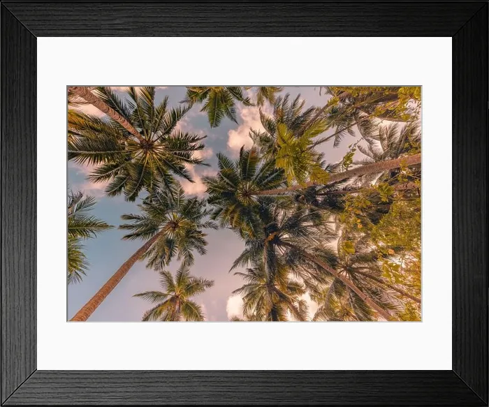 Framed Print : Tropical forest trees background concept. Coconut palms and peaceful blue sky. Exotic summer nature background, green leaves, natural landscape Framed Print : Tropical forest trees background concept. Coconut palms and peaceful blue sky. Exotic summer nature background, green leaves, natural landscape