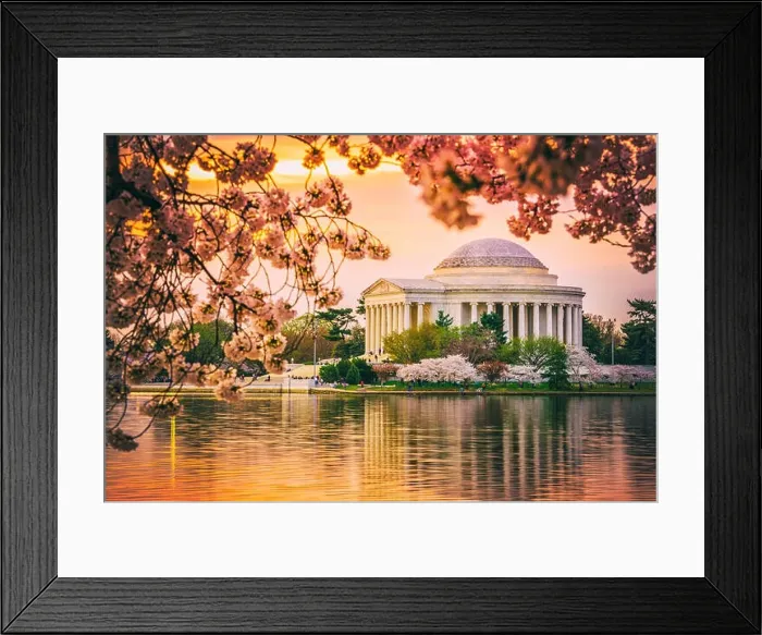 Framed Print : Washington, DC at the Jefferson Memorial during spring Framed Print : Washington, DC at the Jefferson Memorial during spring