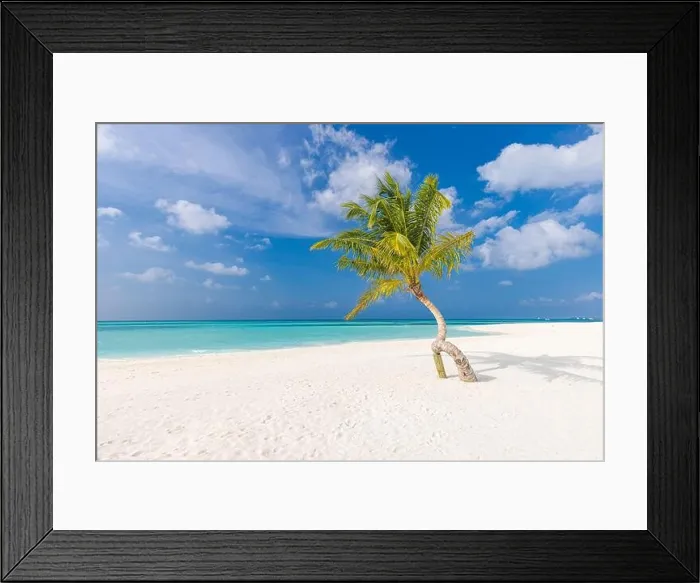 Framed Print : Palm tree on the beach. Lonely tree with sea view, horizon seascape. Exotic tropical shore, with nature pattern. Sunny paradise, colorful landscape Framed Print : Palm tree on the beach. Lonely tree with sea view, horizon seascape. Exotic tropical shore, with nature pattern. Sunny paradise, colorful landscape