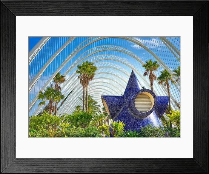 Framed Print : The City of Arts and Sciences, Valencia, Spain Framed Print : The City of Arts and Sciences, Valencia, Spain