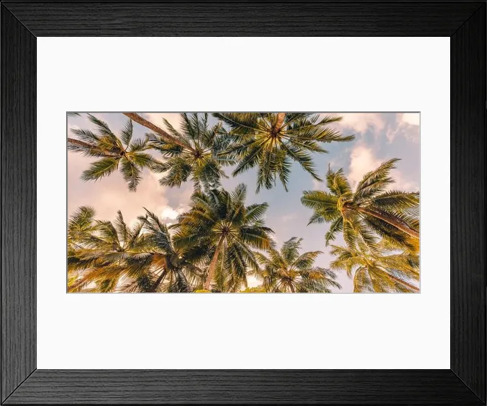Framed Print : Relaxing sunset on beach. Palm trees with sky as exotic tropical nature pattern. Natural texture of palm trees leaves on sunset sky. Beauty in nature Framed Print : Relaxing sunset on beach. Palm trees with sky as exotic tropical nature pattern. Natural texture of palm trees leaves on sunset sky. Beauty in nature
