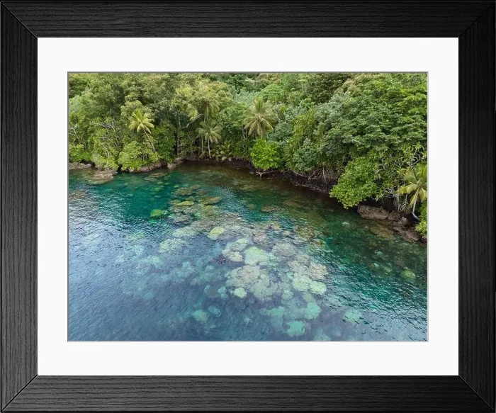 Framed Print : Lush jungle on a remote tropical island is fringed by a coral reef in the Solomon Islands. This country is home to spectacular marine biodiversity Framed Print : Lush jungle on a remote tropical island is fringed by a coral reef in the Solomon Islands. This country is home to spectacular marine biodiversity