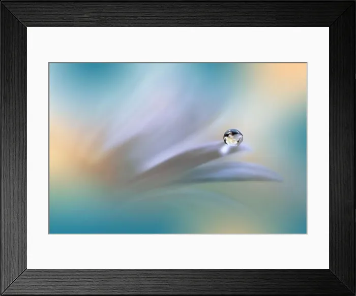 Framed Print : Beautiful Macro Photo.Colorful Flowers.Border Art Design.Magic Light.Close up Photography.Conceptual Abstract Image.White and Green Background.Drop Framed Print : Beautiful Macro Photo.Colorful Flowers.Border Art Design.Magic Light.Close up Photography.Conceptual Abstract Image.White and Green Background.Drop
