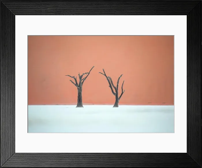Framed Print : Dead trees in Deadvlei, Namibia Framed Print : Dead trees in Deadvlei, Namibia