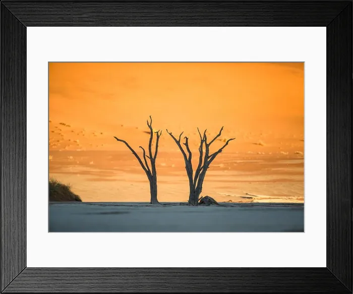 Framed Print : Dead trees in Deadvlei, Namibia Framed Print : Dead trees in Deadvlei, Namibia