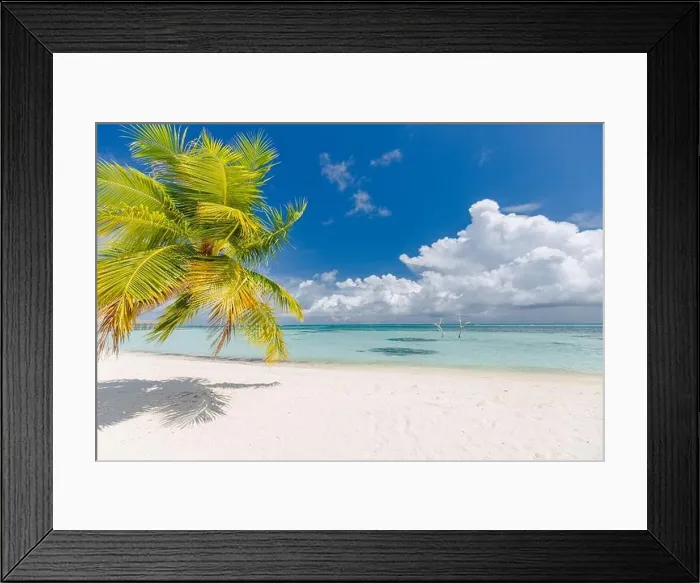 Framed Print : Tropical beach background as summer landscape with white sand and calm sea and palm leaves for beach banner. Perfect island paradise, beach vacation Framed Print : Tropical beach background as summer landscape with white sand and calm sea and palm leaves for beach banner. Perfect island paradise, beach vacation