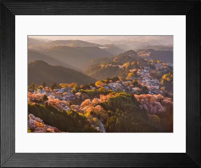 Framed Print : Yoshinoyama, Nara, Japan in spring season at dusk Framed Print : Yoshinoyama, Nara, Japan in spring season at dusk