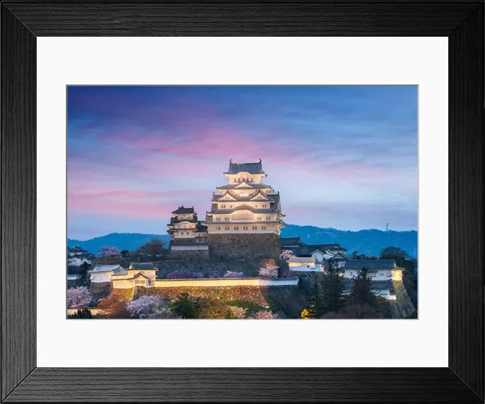 Framed Print : Himeji, Japan at Himeji Castle during spring cherry blossom season Framed Print : Himeji, Japan at Himeji Castle during spring cherry blossom season