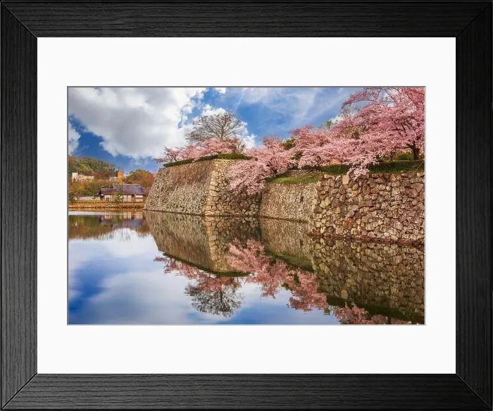 Framed Print : Himeji, Japan at Himeji Castle moat in spring season Framed Print : Himeji, Japan at Himeji Castle moat in spring season