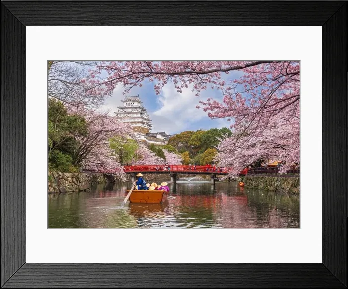 Framed Print : Himeji, Japan at Himeji Castle in spring season Framed Print : Himeji, Japan at Himeji Castle in spring season