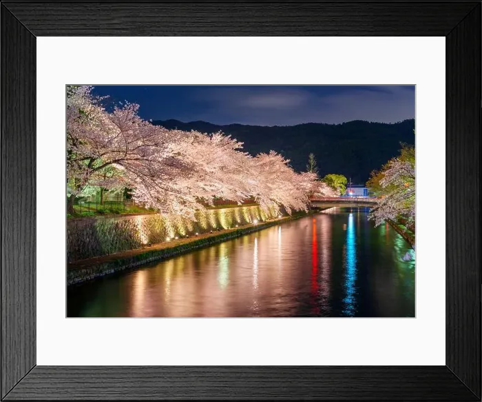 Framed Print : Kyoto, Japan on the Okazaki Canal during the spring cherry blossom season Framed Print : Kyoto, Japan on the Okazaki Canal during the spring cherry blossom season