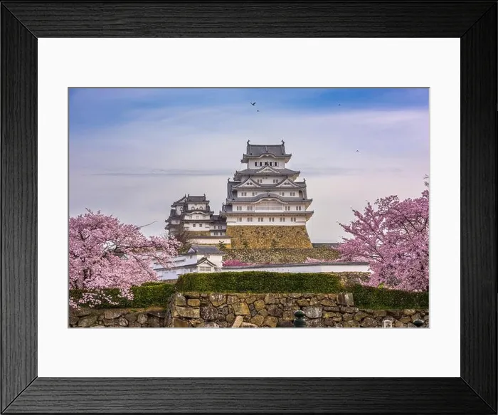 Framed Print : Himeji, Japan at Himeji Castle during spring cherry blossom season