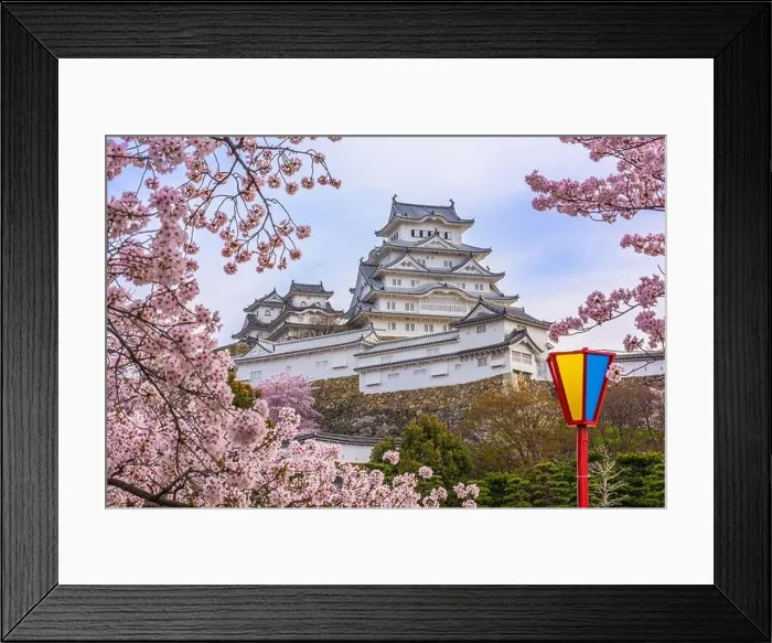 Framed Print : Himeji, Japan at Himeji Castle during spring cherry blossom season Framed Print : Himeji, Japan at Himeji Castle during spring cherry blossom season