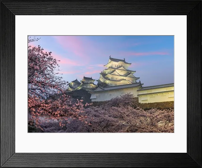 Framed Print : Himeji, Japan at Himeji Castle during spring cherry blossom season Framed Print : Himeji, Japan at Himeji Castle during spring cherry blossom season
