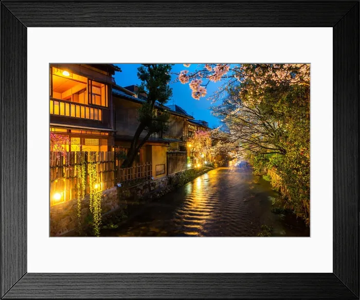 Framed Print : Kyoto, Japan at the Shirakawa River in the Gion District during the spring. Cherry blosson season in Kyoto, Japan Framed Print : Kyoto, Japan at the Shirakawa River in the Gion District during the spring. Cherry blosson season in Kyoto, Japan