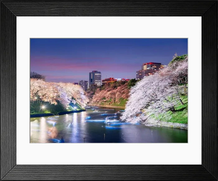Framed Print : Tokyo, Japan at Chidorigafuchi Imperial Palace Moat in the evening Framed Print : Tokyo, Japan at Chidorigafuchi Imperial Palace Moat in the evening