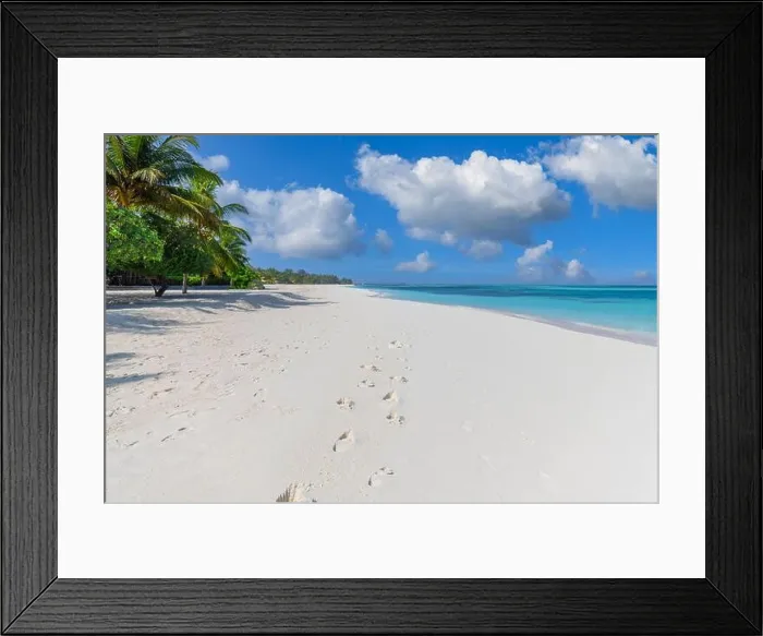 Framed Print : Sunny tropical beach with foot steps in white sand and palm trees on Maldives. Footprints on exotic beach landscape, tropical island shore, calm sea Framed Print : Sunny tropical beach with foot steps in white sand and palm trees on Maldives. Footprints on exotic beach landscape, tropical island shore, calm sea