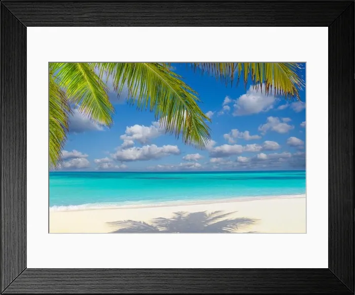 Framed Print : Summer beach landscape. tropical island shore, coast with palm tree leaves. Amazing blue sea horizon, bright sky and white sand as relaxing vacation Framed Print : Summer beach landscape. tropical island shore, coast with palm tree leaves. Amazing blue sea horizon, bright sky and white sand as relaxing vacation