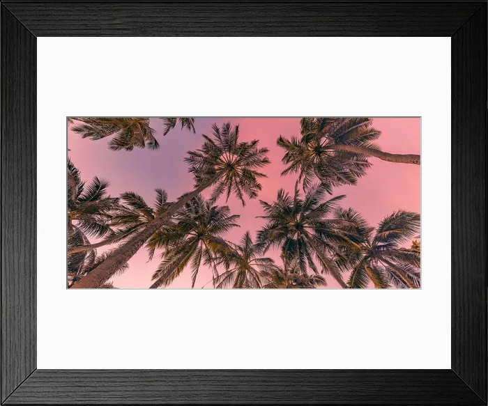 Framed Print : Palm trees with colorful sunset sky. Exotic tropical nature pattern, low point of view landscape. Peaceful and inspirational island scenic, silhouette Framed Print : Palm trees with colorful sunset sky. Exotic tropical nature pattern, low point of view landscape. Peaceful and inspirational island scenic, silhouette