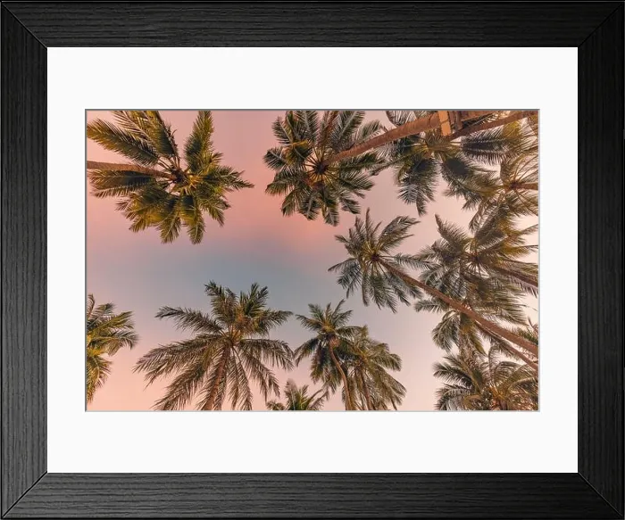 Framed Print : Palm trees with colorful sunset sky. Exotic tropical nature pattern, low point of view landscape. Peaceful and inspirational island scenic, silhouette Framed Print : Palm trees with colorful sunset sky. Exotic tropical nature pattern, low point of view landscape. Peaceful and inspirational island scenic, silhouette