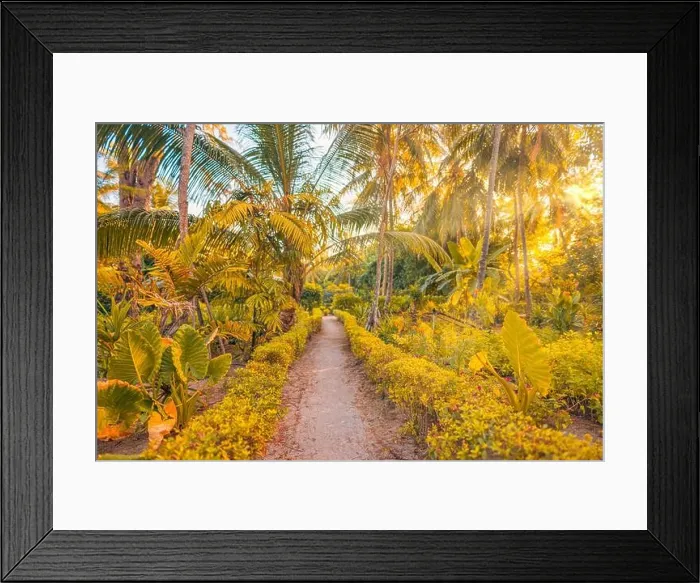 Framed Print : Fantasy mystical mossy forest nature. Tropical exotic nature landscape, palm tree leaves around forest pathway. Sun light, sun rays soft sand pathway Framed Print : Fantasy mystical mossy forest nature. Tropical exotic nature landscape, palm tree leaves around forest pathway. Sun light, sun rays soft sand pathway