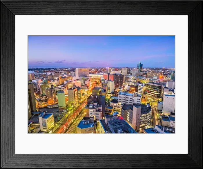 Framed Print : Toyama City, Japan downtown skyline Framed Print : Toyama City, Japan downtown skyline