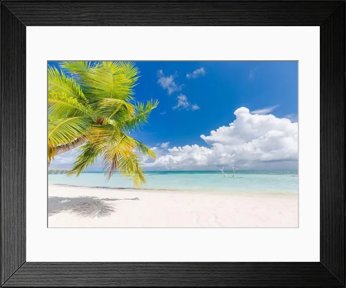 Framed Print : Paradise island, luxury beach landscape with white sand green palm leaves and blue sky. Tropical beach scene, vacation or summer holiday vibes, moods Framed Print : Paradise island, luxury beach landscape with white sand green palm leaves and blue sky. Tropical beach scene, vacation or summer holiday vibes, moods