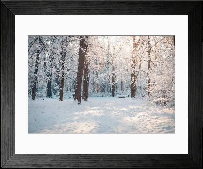 Framed Print : Snowy winter landscape panorama with dreamy sunlight. Idyllic winter nature, adventure and freedom scenic. Amazing seasonal landscape, forest path Framed Print : Snowy winter landscape panorama with dreamy sunlight. Idyllic winter nature, adventure and freedom scenic. Amazing seasonal landscape, forest path