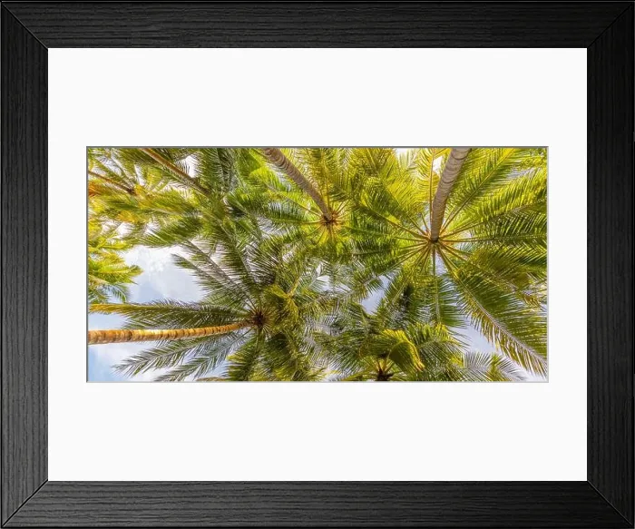 Framed Print : Relaxing green jungle of lush palm leaves, palm trees in exotic tropical forest. Wild tropical plants nature landscape concept for panorama wallpaper Framed Print : Relaxing green jungle of lush palm leaves, palm trees in exotic tropical forest. Wild tropical plants nature landscape concept for panorama wallpaper