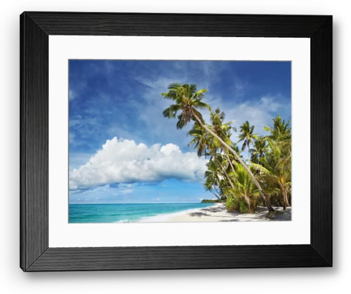 Framed Print : Tropical beach with palm trees and white sand Framed Print : Tropical beach with palm trees and white sand