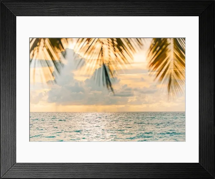 Framed Print : Blur beautiful nature green palm leaf on tropical sunset beach sea with bokeh light wave abstract background. Copy space summer vacation and holiday Framed Print : Blur beautiful nature green palm leaf on tropical sunset beach sea with bokeh light wave abstract background. Copy space summer vacation and holiday