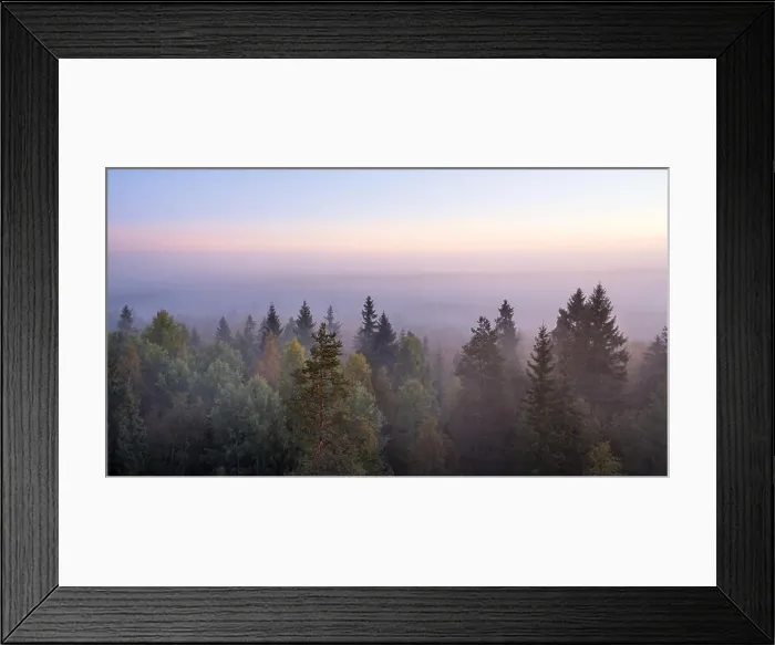 Framed Print : Morning fog and sunrise in Torronsuo National Park, Finland Framed Print : Morning fog and sunrise in Torronsuo National Park, Finland