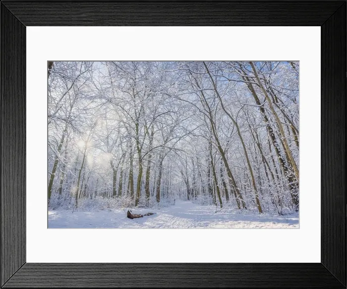 Framed Print : Snowy winter landscape panorama with dreamy sunlight. Idyllic winter nature, adventure and freedom scenic. Amazing seasonal landscape, forest path Framed Print : Snowy winter landscape panorama with dreamy sunlight. Idyllic winter nature, adventure and freedom scenic. Amazing seasonal landscape, forest path