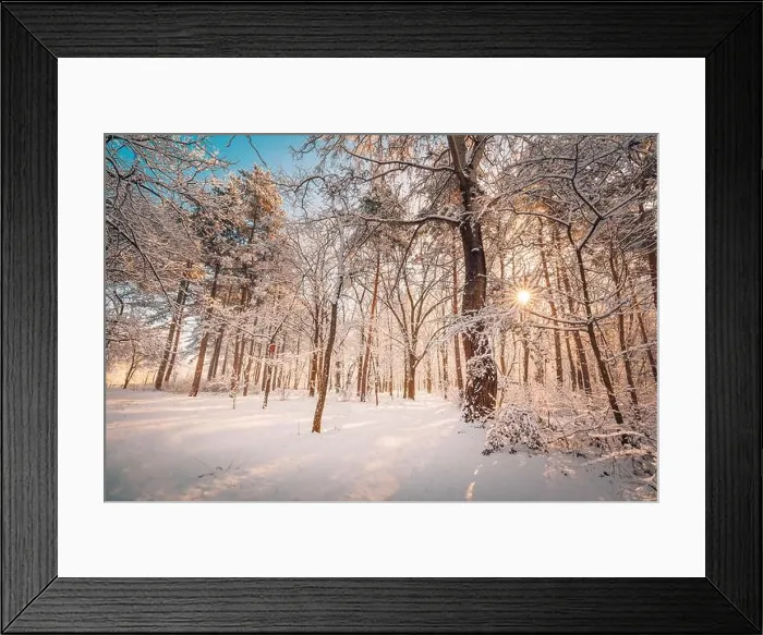 Framed Print : Snowy winter landscape panorama with dreamy sunlight. Idyllic winter nature, adventure and freedom scenic. Amazing seasonal landscape, forest path Framed Print : Snowy winter landscape panorama with dreamy sunlight. Idyllic winter nature, adventure and freedom scenic. Amazing seasonal landscape, forest path