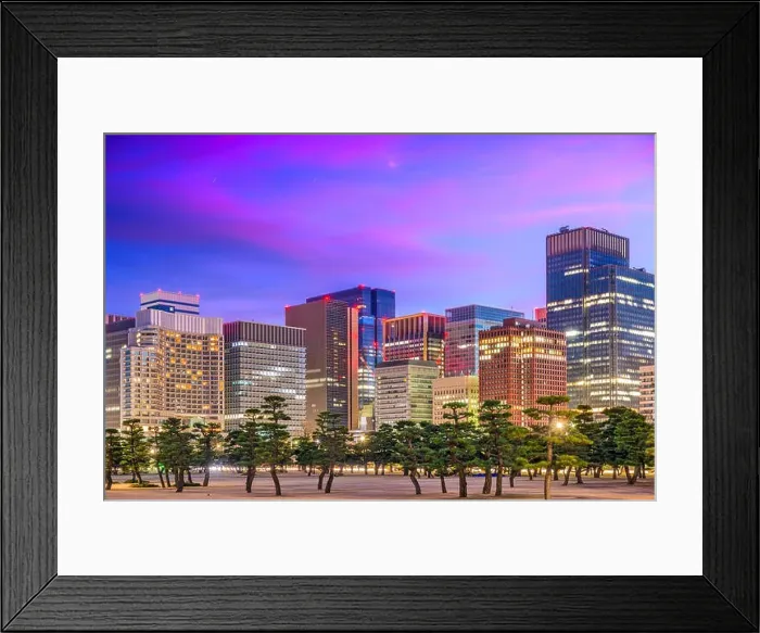 Framed Print : Tokyo, Japan Chiyoda Ward Skyline Framed Print : Tokyo, Japan Chiyoda Ward Skyline