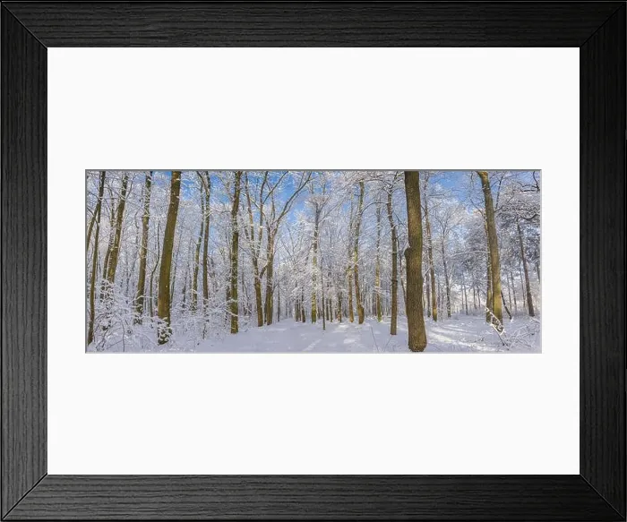 Framed Print : Oak trees covered with snow on frosty morning landscape. Amazing winter nature panorama. Bright colorful sunrise over wintry park, fantastic scenic Framed Print : Oak trees covered with snow on frosty morning landscape. Amazing winter nature panorama. Bright colorful sunrise over wintry park, fantastic scenic