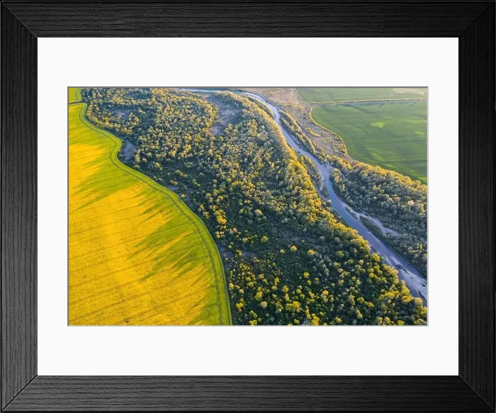 Framed Print : Flight through majestic river, lush green forest and blooming yellow rapeseed fields at sunset time. Landscape photography Framed Print : Flight through majestic river, lush green forest and blooming yellow rapeseed fields at sunset time. Landscape photography