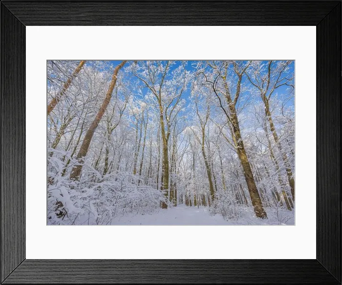Framed Print : Snowy winter landscape panorama with dreamy sunlight. Idyllic winter nature, adventure and freedom scenic. Amazing seasonal landscape, forest path Framed Print : Snowy winter landscape panorama with dreamy sunlight. Idyllic winter nature, adventure and freedom scenic. Amazing seasonal landscape, forest path
