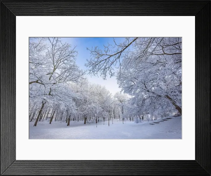 Framed Print : Snowy winter landscape panorama with dreamy sunlight. Idyllic winter nature, adventure and freedom scenic. Amazing seasonal landscape, forest path Framed Print : Snowy winter landscape panorama with dreamy sunlight. Idyllic winter nature, adventure and freedom scenic. Amazing seasonal landscape, forest path