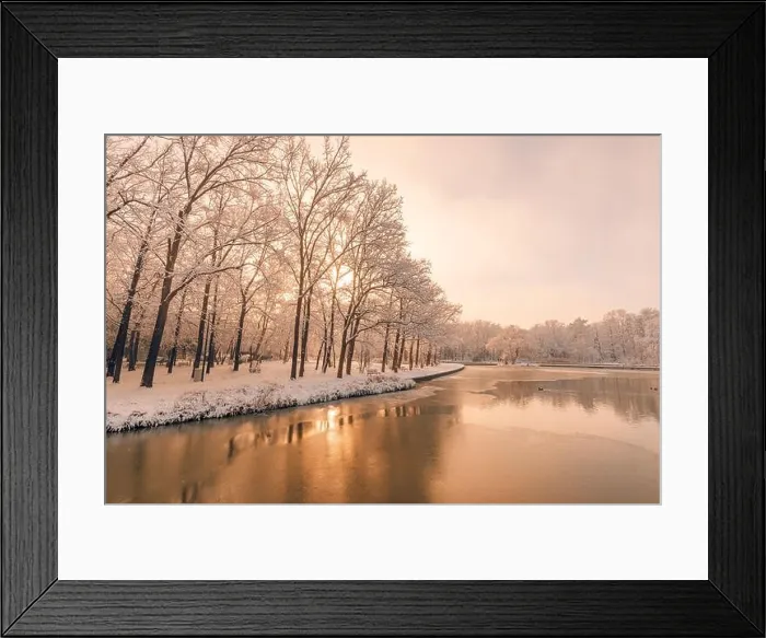 Framed Print : Dream winter forest on the river at sunset. Panoramic landscape with snowy trees, sun, beautiful frozen river with reflection in water. Seasonal Framed Print : Dream winter forest on the river at sunset. Panoramic landscape with snowy trees, sun, beautiful frozen river with reflection in water. Seasonal