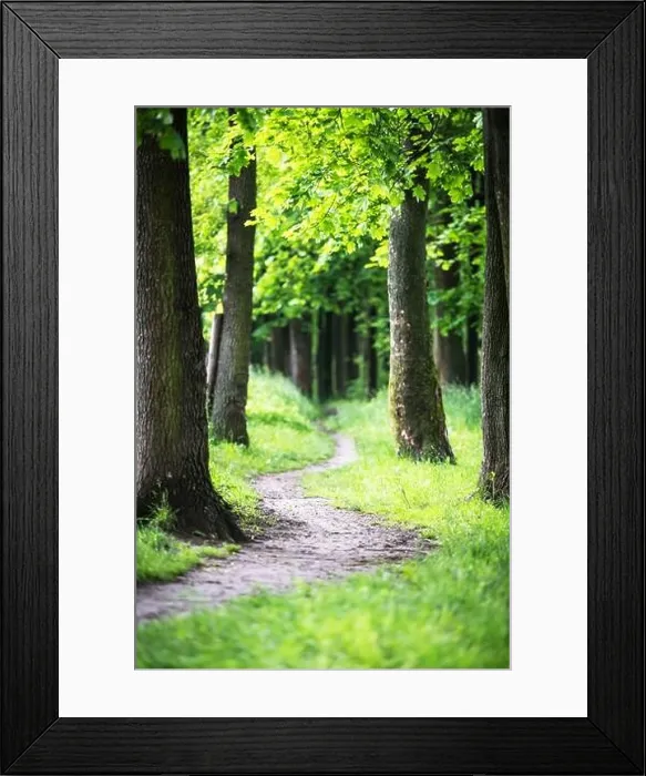 Framed Print : Path in the spring park. Tree trunks in green grass in an oak alley Framed Print : Path in the spring park. Tree trunks in green grass in an oak alley