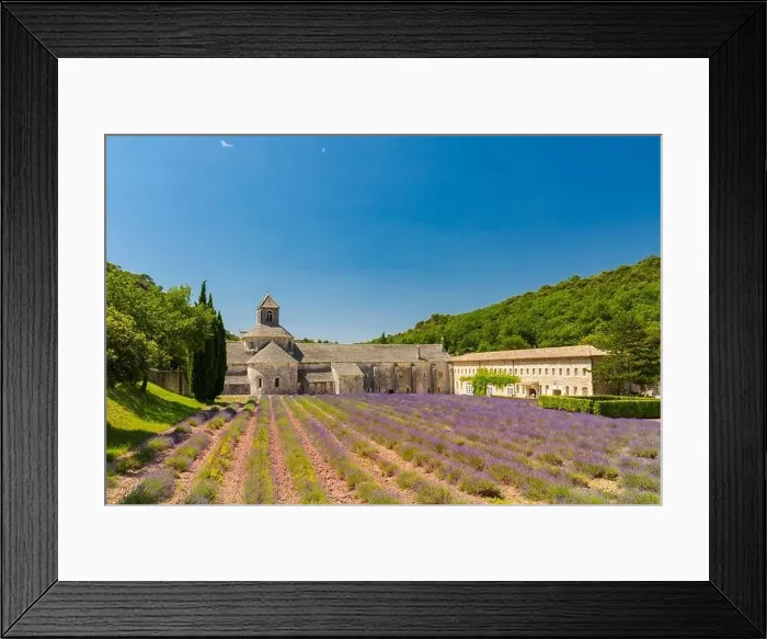 Framed Print : Abbey of Senanque blooming lavender flowers. Gordes, Luberon, Provence Framed Print : Abbey of Senanque blooming lavender flowers. Gordes, Luberon, Provence