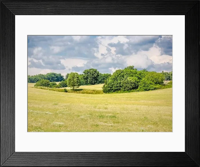 Framed Print : Grassland and meadow field landscape. Green nature scenery Framed Print : Grassland and meadow field landscape. Green nature scenery