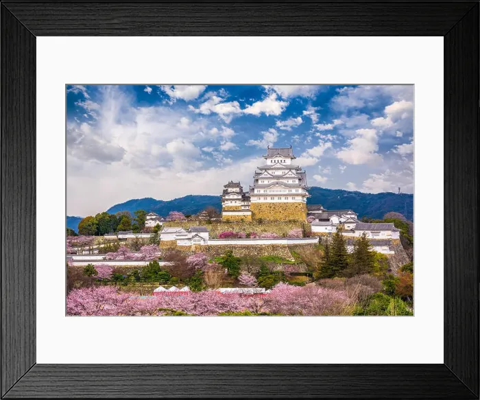 Framed Print : Himeji, Japan at Himeji Castle during spring cherry blossom season Framed Print : Himeji, Japan at Himeji Castle during spring cherry blossom season